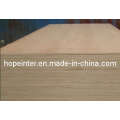 Birch Plywood/Plywood (HL010)